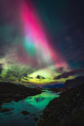 Villa - Havgapet - located in the heart of Lofoten
